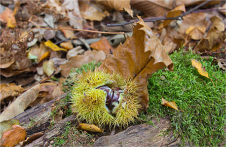 无限轰炸手机软件手机号下载
