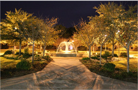 在线呼叫网页版软件