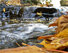 如何便宜开通的云呼叫系统
